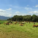 Mas Ca La Coixa 컨트리하우스 *