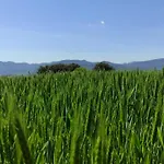 Mas Ca La Coixa *
