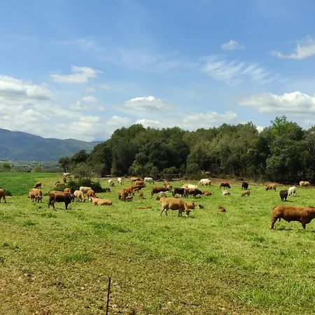 Mas Ca La Coixa Casa rural *