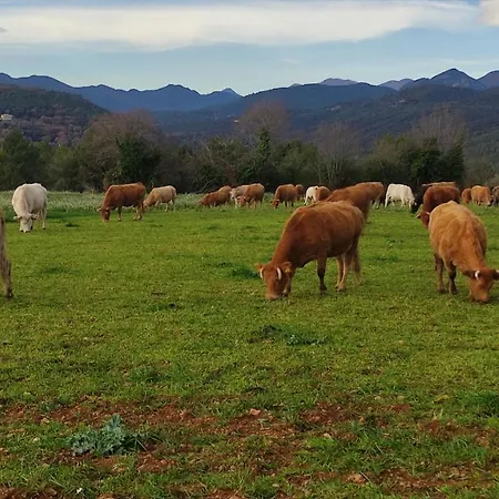 Mas Ca La Coixa Casa rural *